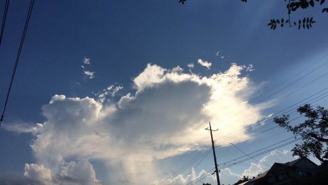 【天候不順のせい？】スローに楽しむ家庭菜園のすすめ３【不作の年】21