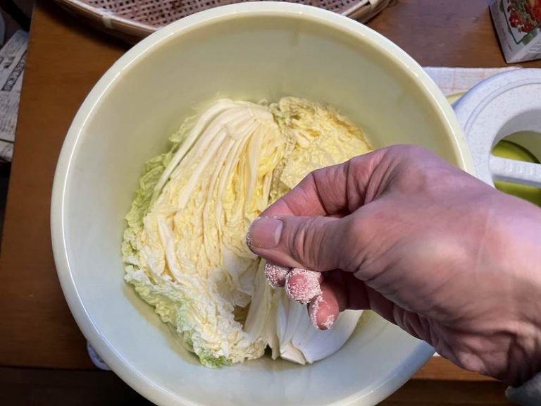 【意外と簡単！】いただいた白菜を漬けてみる【塩分量がポイント】 のんびりスローな年金ライフ！